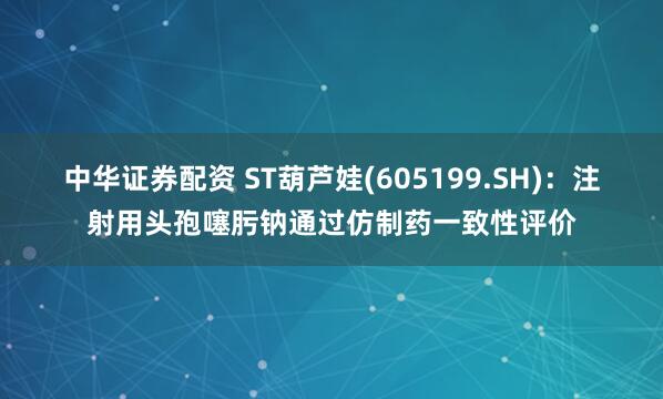 中华证券配资 ST葫芦娃(605199.SH)：注射用头孢噻肟钠通过仿制药一致性评价
