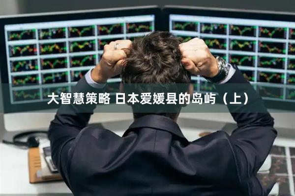 大智慧策略 日本爱媛县的岛屿（上）