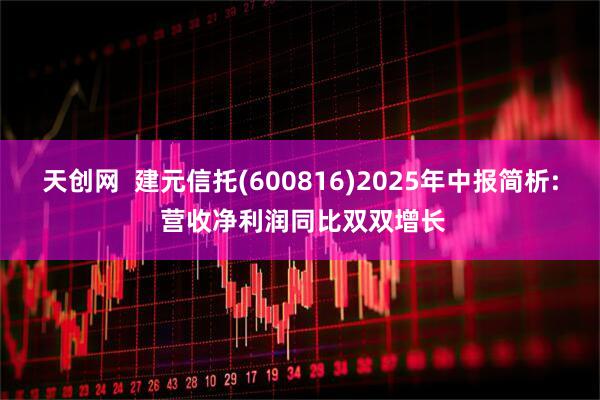 天创网  建元信托(600816)2025年中报简析: 营收净利润同比双双增长